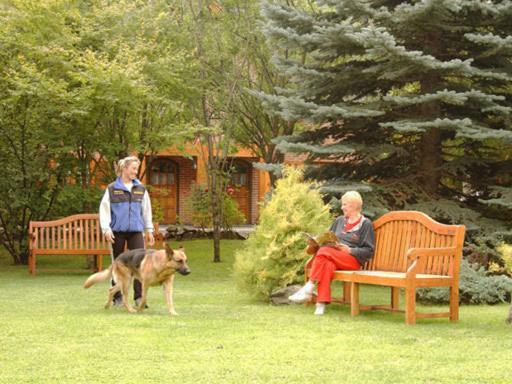 Apart Hotel La Bora San Martín de los Andes Exteriér fotografie